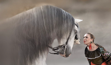 Horse Times Egypt: Equestrian Magazine :Articles :EQUIST & VELIEFENDI - THEY SUIT EACH OTHER VERY WELL