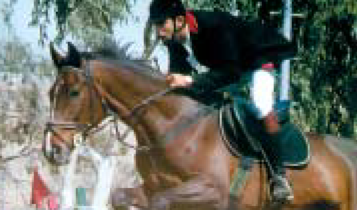 Horse Times Egypt: Equestrian Magazine :Articles :The Egyptian National Championship
