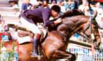 Horse Times Egypt: Equestrian Magazine :Articles :Egyptian Show Jumping Pioneers