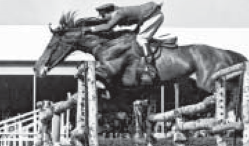 Horse Times Egypt: Equestrian Magazine :Articles :A complete profile on Mohamed Selim Zaki