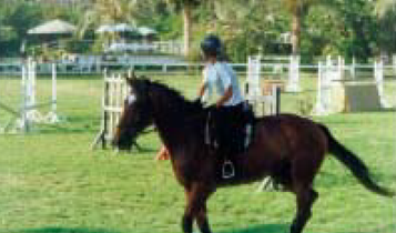 Horse Times Egypt: Equestrian Magazine :Articles :Ferousia Club Hosts a Competition on July 3rd 1998