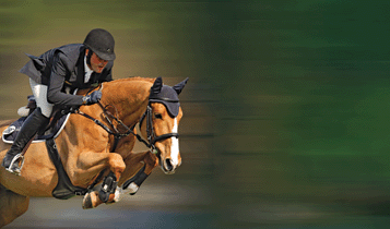 Horse Times Egypt: Equestrian Magazine :Articles :HT EXCLUSIVE WITH MATTEO GUINTI