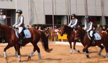 Horse Times Egypt: Equestrian Magazine :Articles :HORFA China A Promising Future