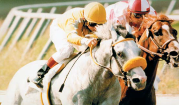 Horse Times Egypt: Equestrian Magazine :Articles :Racing at Gezirah Sporting club