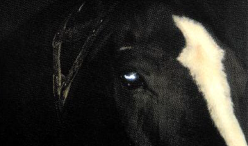 Horse Times Egypt: Equestrian Magazine :Articles :Horse Whisperers