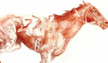 Horse Times Egypt: Equestrian Magazine :Articles :Horses & Art Giuseppe Vigolo