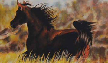 Horse Times Egypt: Equestrian Magazine :Articles :HORSES & ART SIHAM MOHARRAM