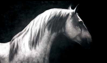 Horse Times Egypt: Equestrian Magazine :Articles :Horses In art Paddy Lennon