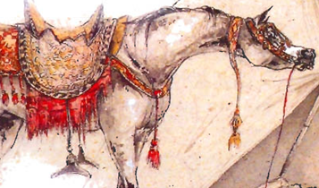 Horse Times Egypt: Equestrian Magazine :Articles :Horses in Islam