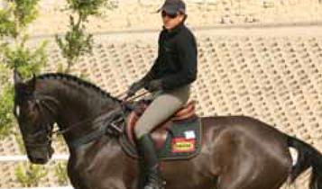 Horse Times Egypt: Equestrian Magazine :Articles :How To Be A Trainer (Part 16) Dressage For Jumping (Part 6)
