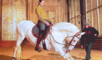Horse Times Egypt: Equestrian Magazine :Articles :How to be a Trainer (Part 3): The Role of a Coach