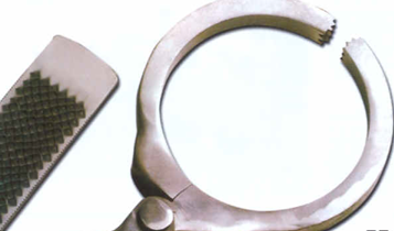 Horse Times Egypt: Equestrian Magazine :Articles :How to be a Trainer (Part 4 B): Horse Maintenance (Part 2)