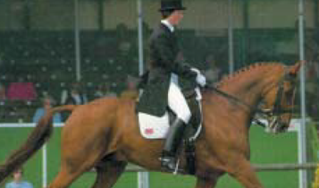 Horse Times Egypt: Equestrian Magazine :Articles :Dressage: it takes two to Tango