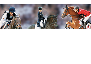 Horse Times Egypt: Equestrian Magazine :Articles :JOHN HAIME UNDERSTANDING AND BUILDING YOUR CONFIDENCE – PART 1