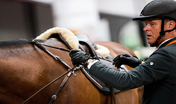 Horse Times Egypt: Equestrian Magazine :Articles :LEGAL EUAEL INTERNATIONAL EQUINE LAW CONGRESS 2019
