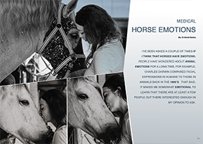 Horse Times Egypt: Equestrian Magazine :Articles :MEDICAL HORSES EMOTIONS BY DR.DAVID RAMEY