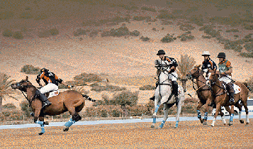Horse Times Egypt: Equestrian Magazine :Articles :MOHAMED VI INTERNATIONAL POLO CUP, THE EGYPTIAN POLO TEAM IN MOROCCO