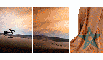 Horse Times Egypt: Equestrian Magazine :Articles :MOROCCO ROYAL TOUR OVER THE YEARS 