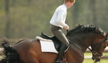 Horse Times Egypt: Equestrian Magazine :Articles :Marcus Ehning Times Of Perfection