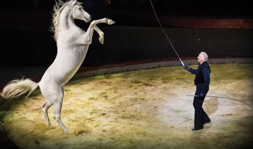 Horse Times Egypt: Equestrian Magazine :Articles :MEETING ALEXIS GRUSS MASTER-RIDER