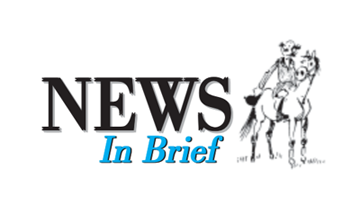 Horse Times Egypt: Equestrian Magazine :Articles :News in Brief Dubai World Cup 2000