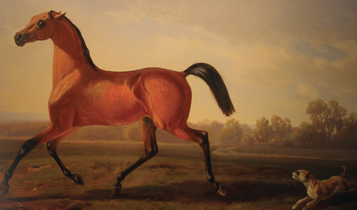 Horse Times Egypt: Equestrian Magazine :Articles :ORIENTALISM AND THE ARABIAN HORSE PART VII