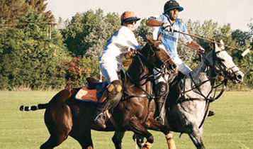 Horse Times Egypt: Equestrian Magazine :Articles :POLO - LA AGUADA POLO & RESORT - THE ULTIMATE IN LUXURY AND SPORT IN ARGENTINA