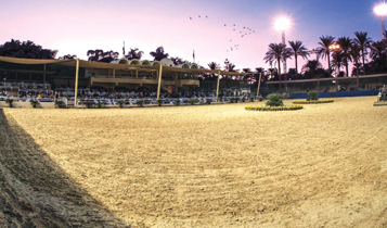 Horse Times Egypt: Equestrian Magazine :Articles :RABAB INTERNATIONAL CHAMPIONSHIPS A HAVEN FOR ARABIAN HORSES