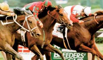 Horse Times Egypt: Equestrian Magazine :Articles :Racing - Gezira Sporting Club Annouces the End of the Winter