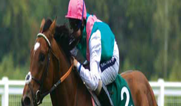 Horse Times Egypt: Equestrian Magazine :Articles :Royal Ascot What A Jolly Good Show