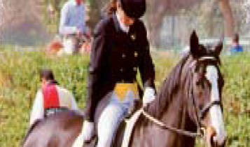 Horse Times Egypt: Equestrian Magazine :Articles :Rules for Dressage Events of FEI