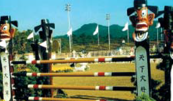 Horse Times Egypt: Equestrian Magazine :Articles :Show Jumping Courses
