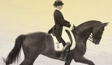 Horse Times Egypt: Equestrian Magazine :Articles :THE ART OF CLASSICAL DRESSAGE RIDING - THE WALK