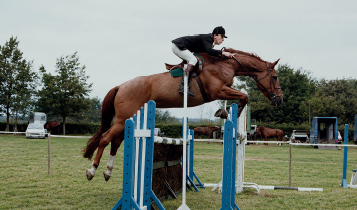 Horse Times Egypt: Equestrian Magazine :Articles :THE CAMENEN CONNECTION: HUMOUR, HUMILITY & HORSEMANSHIP