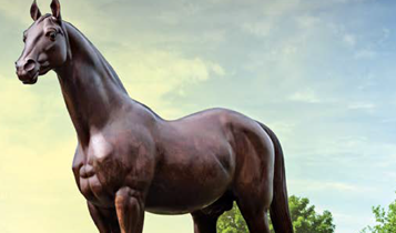 Horse Times Egypt: Equestrian Magazine :Articles :“THE MOSTEST HOSS THERE EVER WAS” MAN O’WAR 100