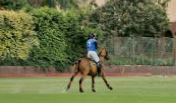 Horse Times Egypt: Equestrian Magazine :Articles :THE SALAH FODA INTERNATIONAL CUP 2016 - HONOURING ONE OF EGYPT’S POLO LEGENDS