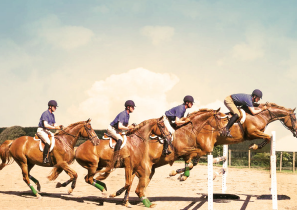 Horse Times Egypt: Equestrian Magazine :Articles :TRAINING TIPS FEELING A STRIDE BY KHALED ASSEM
