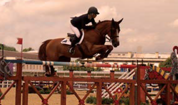 Horse Times Egypt: Equestrian Magazine :Articles :TRAINING TIPS:  THE INNER PERSPECTIVE OF THE JUMP