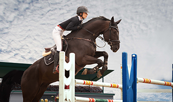 Horse Times Egypt: Equestrian Magazine :Articles :TOP TIPS THE PERFECT JUMP
