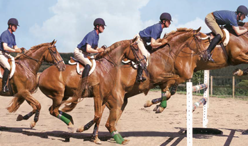 Horse Times Egypt: Equestrian Magazine :Articles :TRAINING TIPS: YOUR DISTANCE TO THE FENCE