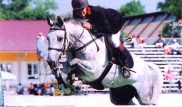 Horse Times Egypt: Equestrian Magazine :Articles :The Egyptian National Cup