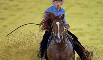Horse Times Egypt: Equestrian Magazine :Articles :THE EUROPEAN CHAMPIONSHIPS - AACHEN2015 AACHEN, GERMANY