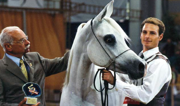 Horse Times Egypt: Equestrian Magazine :Articles :The First Egyptian Arabian World Champion