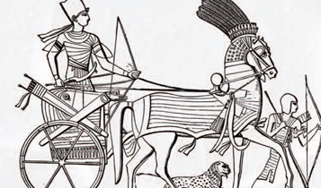 Horse Times Egypt: Equestrian Magazine :Articles :The Horse And Chariot In Egypt's Drive For An Empire
