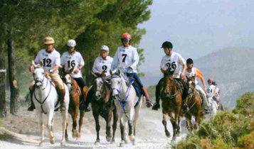 Horse Times Egypt: Equestrian Magazine :Articles :The 2007 Tierras de Al Andalus Endurance Ride