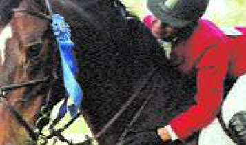 Horse Times Egypt: Equestrian Magazine :Articles :Tips of the Day: The Lateral Movement in Dressage & Building