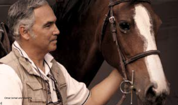 Horse Times Egypt: Equestrian Magazine :Articles :ZAMAN: PART TWO A LOOK BACK AT MY LIFE WITH HORSES