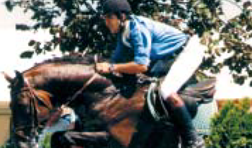 Horse Times Egypt: Equestrian Magazine :Articles :Zoghby's Way