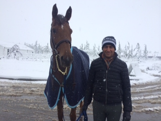 Horse Times Egypt: Equestrian Magazine :HorseTimes Blog :The Perils Of Show Jumping Sport - 12