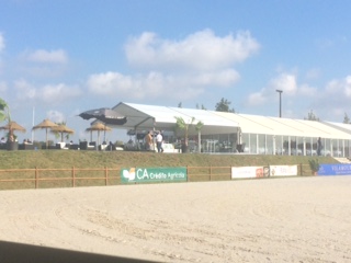 Horse Times Egypt: Equestrian Magazine :HorseTimes Blog :The Perils Of Show Jumping Sport - 14